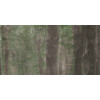 Керамогранит 240x120 7мм W&S D Cp4 Woods A матовая Abk