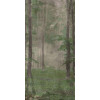 Керамогранит 240x120 7мм W&S D+ Woods B матовая Abk