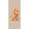 Керамогранит 280x120 6мм Керамо Moooi Nesting Room Spec Edit Clois Dove Nat R матовая Abk