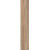 Керамогранит 120x20 9мм Dolphin Clay Aged Rett матовая Abk