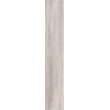 Керамогранит 120x20 9мм Dolphin Moon Rett матовая Abk