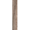 Керамогранит 120x20 9мм Dolphin Oak Aged Rett матовая Abk Керамогранит 120x20 9мм Dolphin Oak Aged Rett матовая Abk