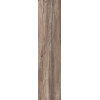 Керамогранит 170x40 9мм Dolphin Oak Rett матовая Abk