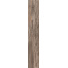 Керамогранит 170x20 9мм Dolphin Oak Rett матовая Abk