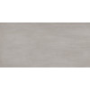 Плитка Gambini керамогранит D_Elements Nickel матовая 120x60