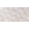 Плитка Keraben  Belle Grigio Concept Brillo глянцевая 50x25