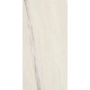 Плитка Marvel Bianco Fantastico Matt A21B матовая белый мрамор 120x60 9мм Atlas Concorde Плитка Marvel Bianco Fantastico Matt A21B матовая белый мрамор 120x60 9мм Atlas Concorde