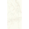 Плитка Marvel Calacatta Delicato Matt A4Qw матовая белый мрамор 120x60 9мм Atlas Concorde