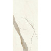 Плитка Marvel Calacatta Sublime Matt Afwj матовая белый мрамор 120x60 9мм Atlas Concorde