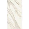 Плитка Marvel Meraviglia Calacatta Bernini Ajis матовая белый мрамор 120x60 9мм Atlas Concorde Плитка Marvel Meraviglia Calacatta Bernini Ajis матовая белый мрамор 120x60 9мм Atlas Concorde