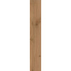 Плитка Log Deep Oak Ax3G матовая коричневый дерево 120x20 9мм Atlas Concorde