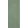 Плитка Materia Brillante Bosco Ftoj зеленый однотонная, краска, штукатурка 120x50 Fap Ceramiche Плитка Materia Brillante Bosco Ftoj зеленый однотонная, краска, штукатурка 120x50 Fap Ceramiche