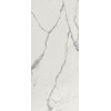 Плитка Roma Gold Carrara Superiore Brillante Fpzp глянцевая белый мрамор 278x120 Fap Ceramiche