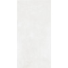 Плитка Core Matte White Rectportile P19522.6 матовая белый бетон, цемент 120x60 8мм Yurtbay