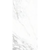 Плитка Eternal White Polished Rec Por Tile P10850.6 глянцевая белый мрамор 120x60 10мм Yurtbay