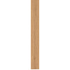 Плитка Rive Acqua Riva Rettificato Риве Аква Рива Рет 610010002248 дерево 160x20 Атлас Конкорд