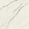 Плитка Forte Dei Marmi Lilac Rett 600010002405 матовая черно-белый, белый мрамор 120x120 9мм Атлас Конкорд
