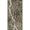 Плитка Forte Dei Marmi Quark Breccia Di Caravaggio Rett Cerato 610015000699 патинированная коричневый мрамор 120x60 9мм Атлас Конкорд