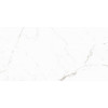 Керамогранит  Carving 12053R 120x60 Maimoon