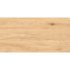 Керамогранит  Matt Deckwood Amber 120x60 Maimoon Ceramica