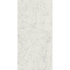Плитка Charme Extra Carrara Lux Шарм Экстра Каррара Люкс 610015000368 глянцевая белый мрамор 120x60 9мм Италон