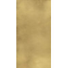 Плитка Continuum Brgold Lap 610015000645 лаппатированная золотой металл, камень 160x80 9мм Италон