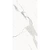 Плитка Stellaris Statuario White Ret 610010002831 матовая белый мрамор 120x60 9мм Италон Плитка Stellaris Statuario White Ret 610010002831 матовая белый мрамор 120x60 9мм Италон