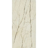 Плитка Charme Deluxe Cream River Lux Ret Шд Крим Ривер Люкс Рет 610015000504 глянцевая бежевый камень, мрамор 160x80 9мм Италон