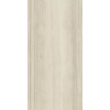 Плитка Charme Advance Silk Grey Rect Cer 610015000586 патинированная бежевый 120x60 9мм Италон