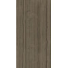 Плитка Charme Advance Elegant Brown Lux 610015000592 глянцевая коричневый 160x80 9мм Италон