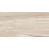 Плитка керамогранит Artkera Group 60x30 Crema GP3601 Goa Матовая Плитка керамогранит Artkera Group 60x30 Crema GP3601 Goa Матовая