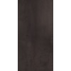 Керамогранит Cast Rust hight glossy (special) MPL-058748 120x60 8.5мм глянцевая Simpolo