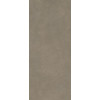 Керамогранит Scs Spectra Mushroom Gv 120х278х6 MPL-060341 278x120 6мм матовая Simpolo