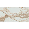 Керамогранит 120x60 10.5мм Arabescato Gold Rect. матовая Pamesa