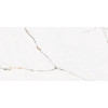 Керамогранит 120x60 9мм Cr. Torano M Dorado Compacglass Rect.n матовая Pamesa