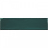 Керамическая  Liguria Jungle глянцевая 30x8 8мм Smile Tile