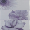Плитка Myr ceramica декор 75x75 Lila D-930 3pzs Chloe глянцевая