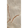 Плитка Nature Mood Rainforest Glossy Rt 774902 глянцевая коричневый, бежевый мрамор 120x60 6мм Casa Dolce Casa