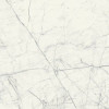 Плитка Statuarietto Smart Honed 12950054 59x59 9мм Casalgrande Padana