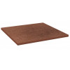 Плитка Paradyz Taurus Brown 300x300/8.5
