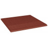Ступень Paradyz Natural Rosa Duro 300x300/8.5