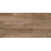 Плитка Керлайф облицовочная 63x32 Плитка SHERWOOD DECOR HONEY