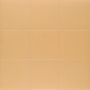 Керамогранит 20x20 7.5мм Technical Tangerine матовая Mainzu