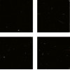 Мозаика Irida 15S49 2 Стеклянная 15.S49(2) 33x33 Irida