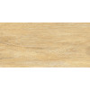 Плитка настенная AltaCera 50x25 Cedar WT9ELT31 Elemento Глянцевая