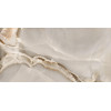 Керамогранит Dune Selene Cappuccino полированная оникс кофейный 120x60