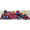 Плитка Monopole 30x10 Tutti Frutti Decor Di Bosco глянцевая