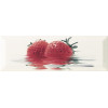 Плитка Monopole декор 30x10 Fresh Fresas клубника глянцевая