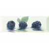 Плитка Monopole декор 30x10 Fresh Moras ежевика глянцевая
