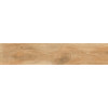 Керамогранит Rondine Crtn Cognac матовая 120x24
